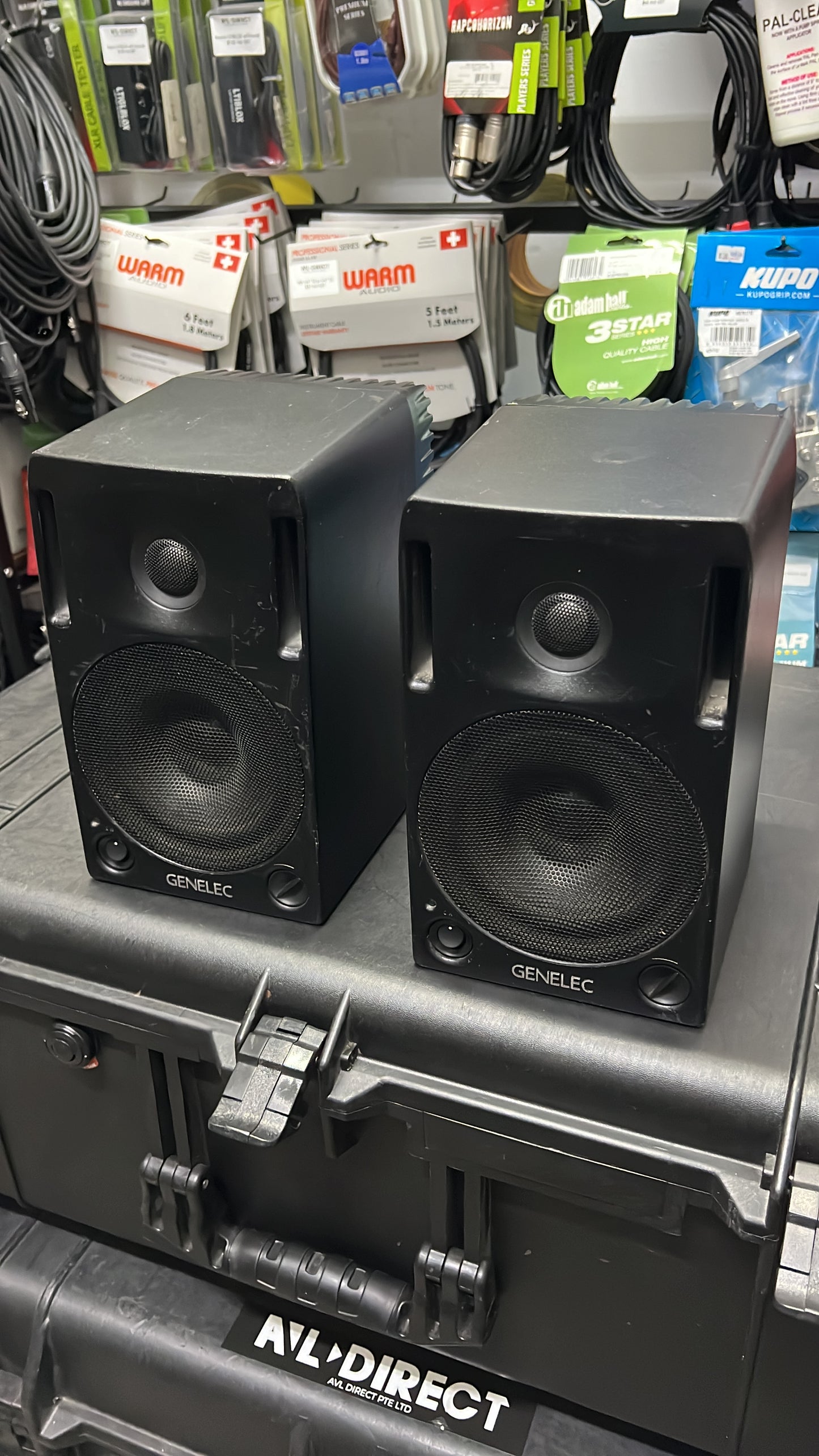 Genelec 1029A pair (Used)