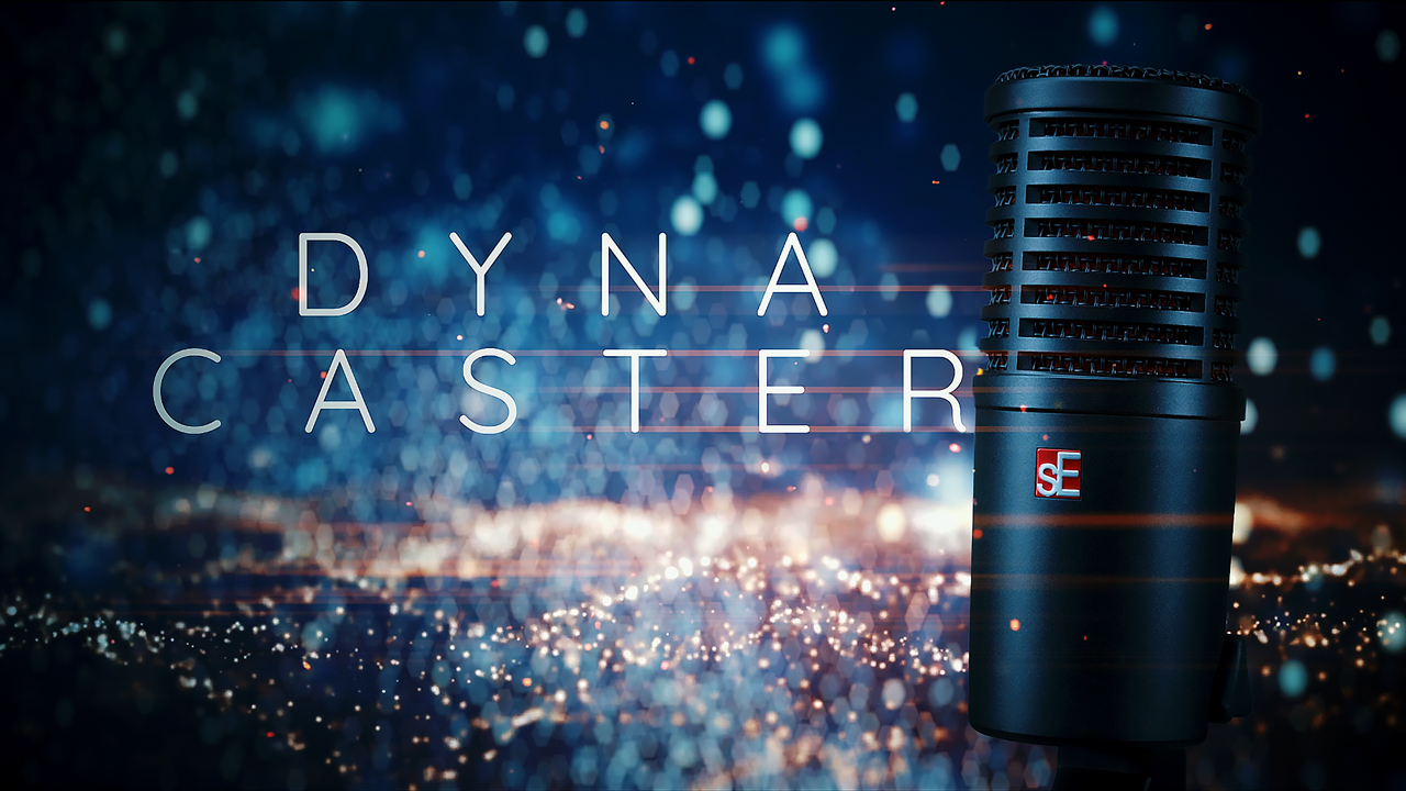 sE Electronics Dynacaster Dynamic Microphone(NEW)