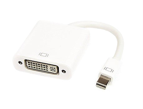 Video Converters-MINI DP-DVI-ADPTR-20cm