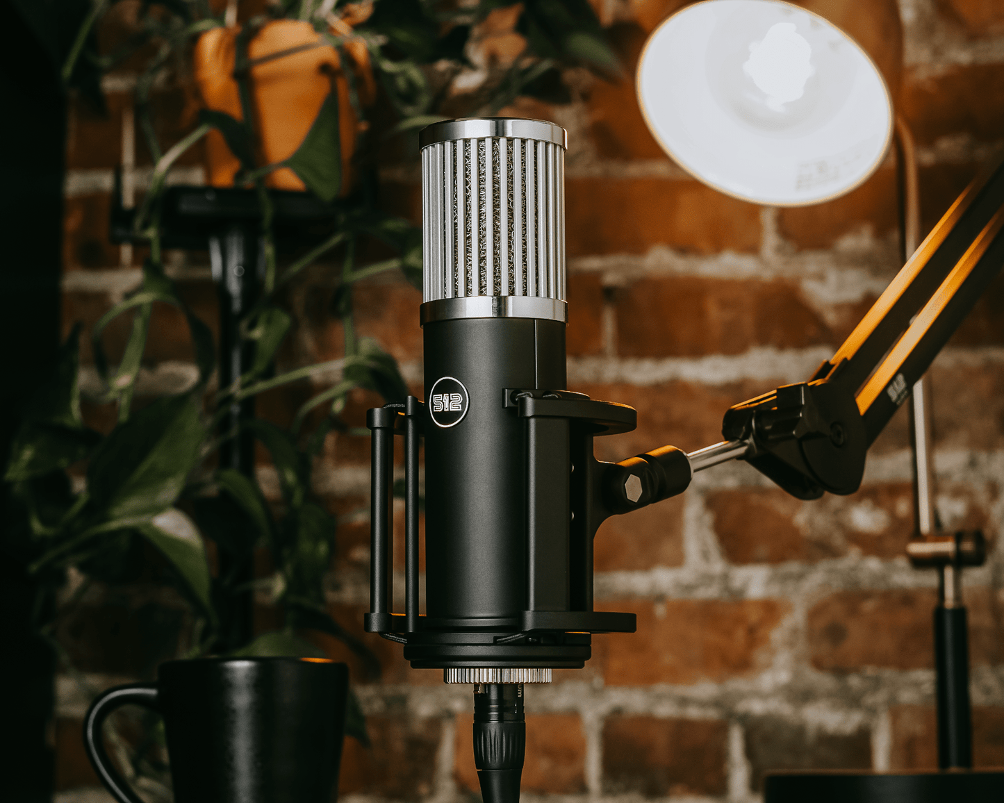 512 Audio Skylight Microphone (Pre-Order)