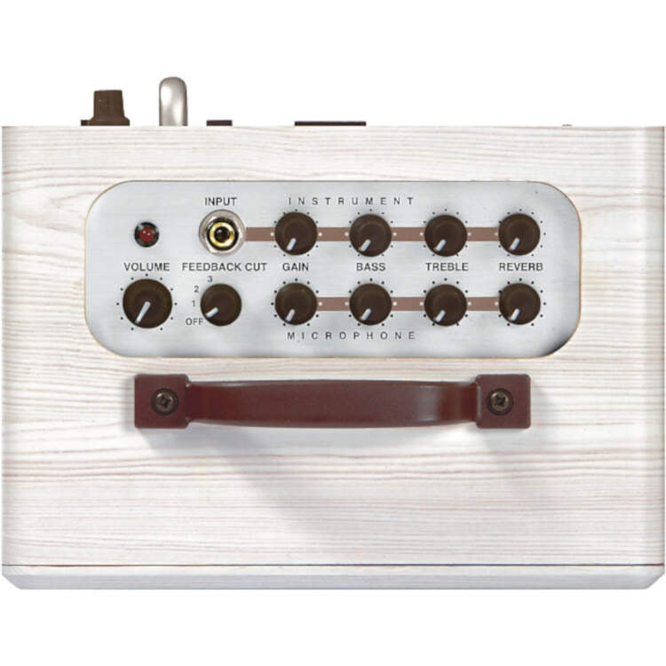 ZT LBA1 Lunchbox 2-Channel Acoustic Amplifier
